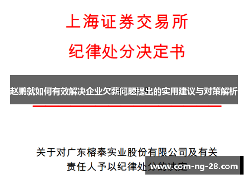 赵鹏就如何有效解决企业欠薪问题提出的实用建议与对策解析 赵鹏就如何有效解决企业欠薪问题提出的实用建议与对策解析