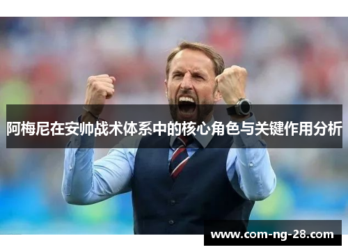 阿梅尼在安帅战术体系中的核心角色与关键作用分析 阿梅尼在安帅战术体系中的核心角色与关键作用分析