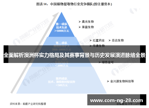 全面解析澳洲杯实力格局及其赛事背景与历史发展演进脉络全景