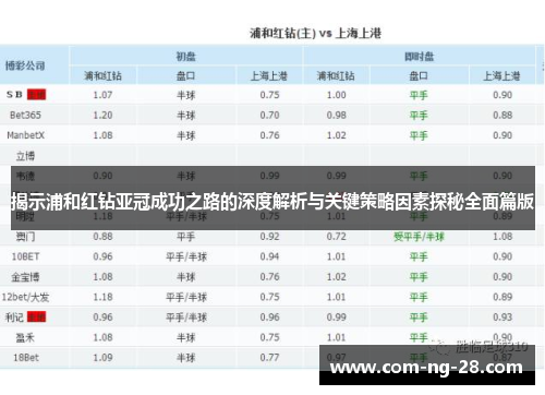 揭示浦和红钻亚冠成功之路的深度解析与关键策略因素探秘全面篇版