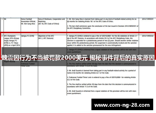 魏震因行为不当被罚款2000美元 揭秘事件背后的真实原因